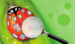 Без бумажки ты — букашка или Какова она — “идеальная” госуслуга